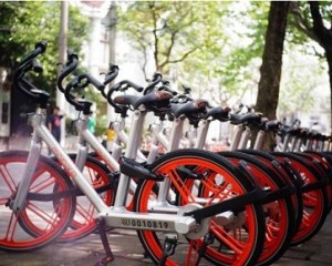 摩拜早期投資人劉二海：當(dāng)你足夠強大，自不必與巨頭為伍